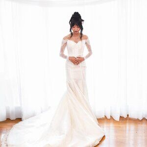 Wedding Gown (+Veil)
